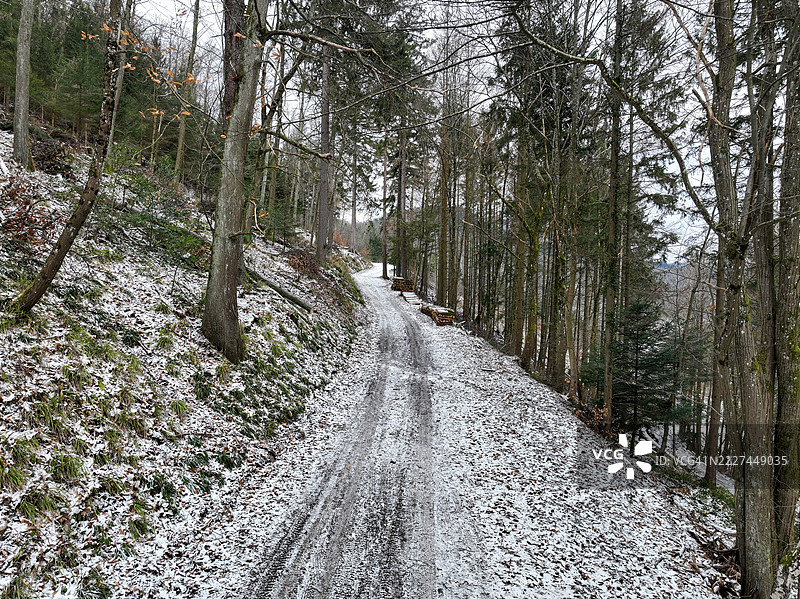 冬季森林中树木间的空旷道路，法国大东部地区的坦恩图片素材