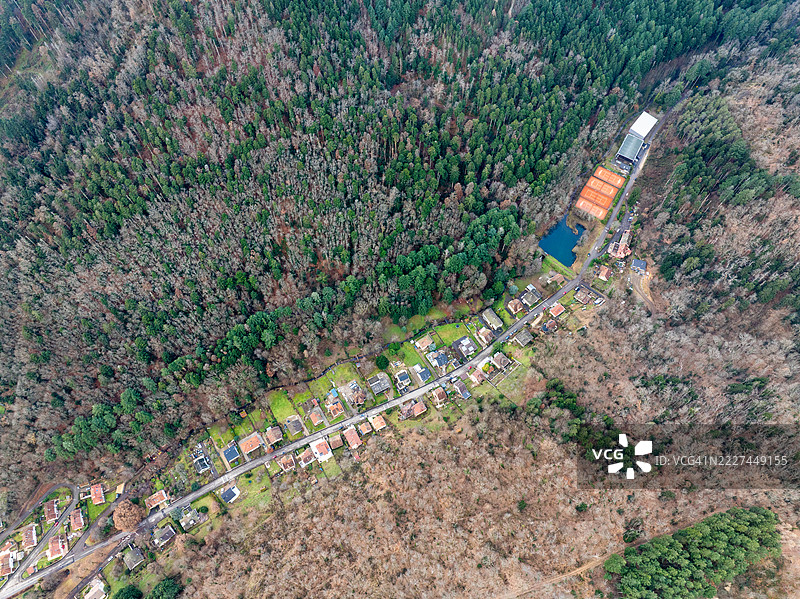 高角度视图的树木在田野上，坦恩，法国大东部地区图片素材