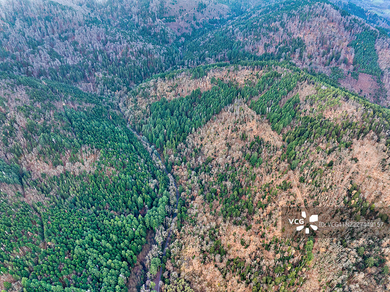 高角度视图的树木在田野上，坦恩，法兰西大区图片素材