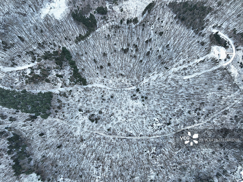 法国大东部地区坦恩的森林中被雪覆盖的树木的鸟瞰图图片素材