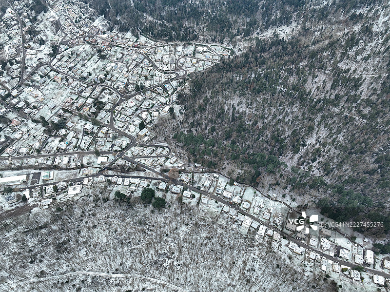高角度视图的树木覆盖在雪地上，法国大东部地区坦恩图片素材