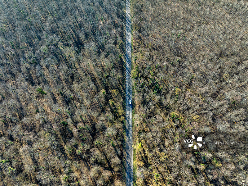 法国阿尔萨斯，肯布斯，格朗特地区森林中的长袍鸟瞰图图片素材