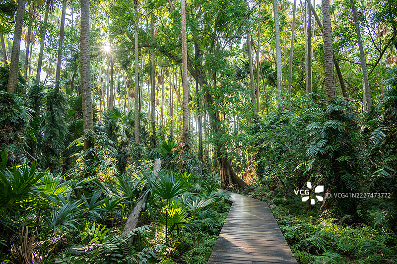 乌隆他尼省卡姆查诺德森林内的风景，这里是泰国人前来崇拜纳迦并祈求健康和生活繁荣的地方。图片素材