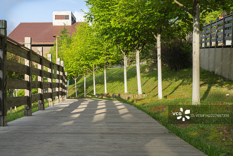 公园里的木栈道图片素材