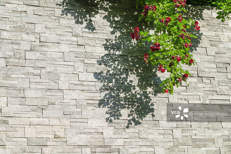 覆盖着花朵的石板墙图片素材