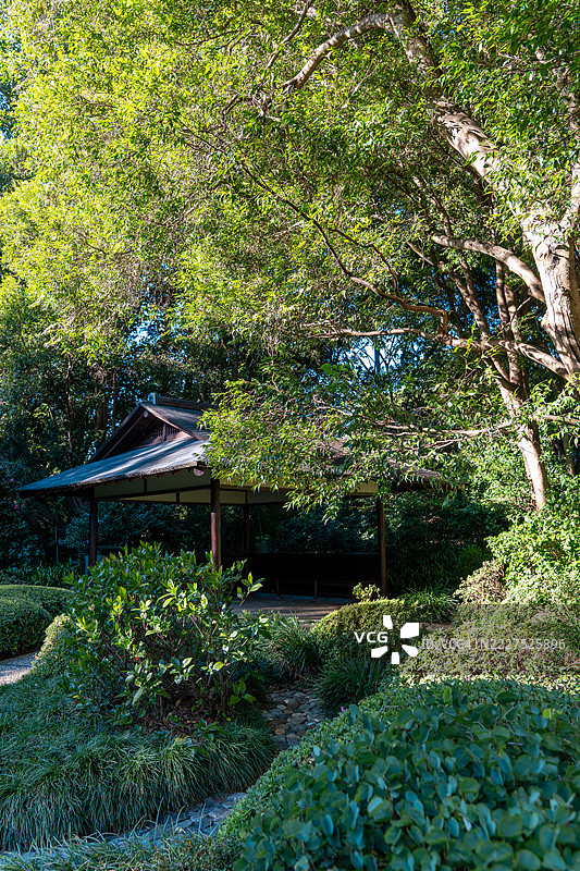 日本庭园的清晨图片素材