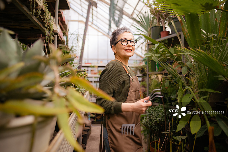 乌克兰基辅，一名女性园丁在温室里手持耙子，照料着热带植物。图片素材
