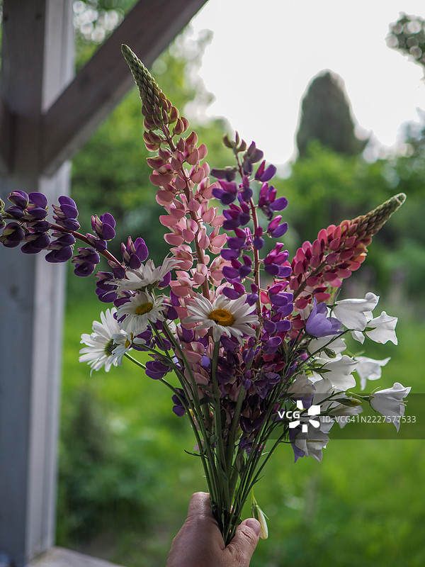 手握鲜花的特写，华沙，马佐维亚，波兰图片素材