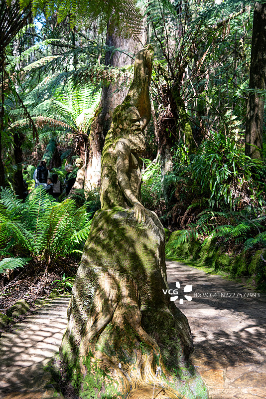 澳大利亚墨尔本丹顿农山脉森林中的雕像，威廉·里克茨，墨尔本，维多利亚州，澳大利亚图片素材