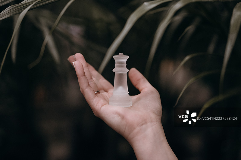 自然光下的战略力量象棋女王棋子，北卡罗来纳州，美国图片素材