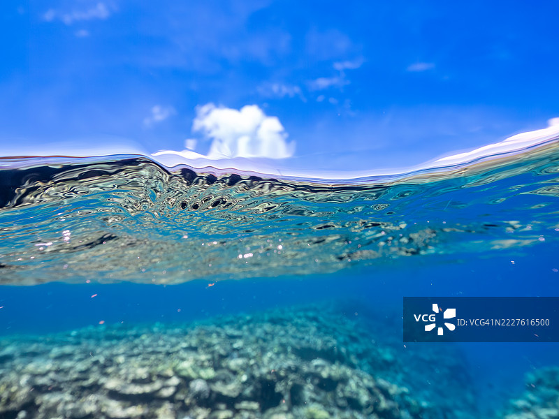 半水面拍摄的潜水游轮与双体帆船。热带鱼群。美丽的珊瑚礁和游泳的人们。图片素材