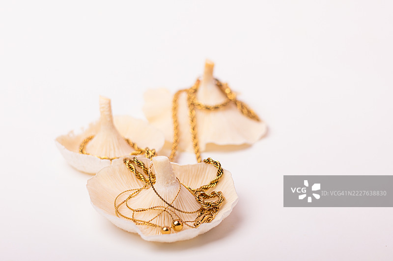 优雅的金链饰品悬挂在天然蘑菇茎上图片素材