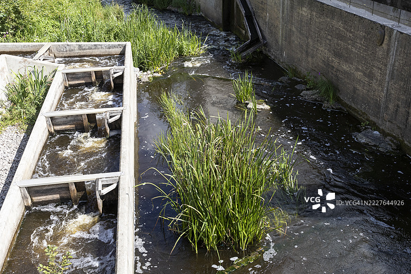 鱼梯图片素材