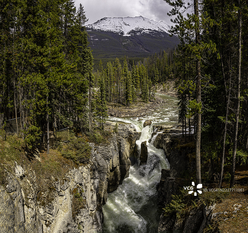 阿尔伯塔省贾斯珀国家公园的阿萨巴斯卡河和斯旺普塔瀑布的壮丽景色图片素材