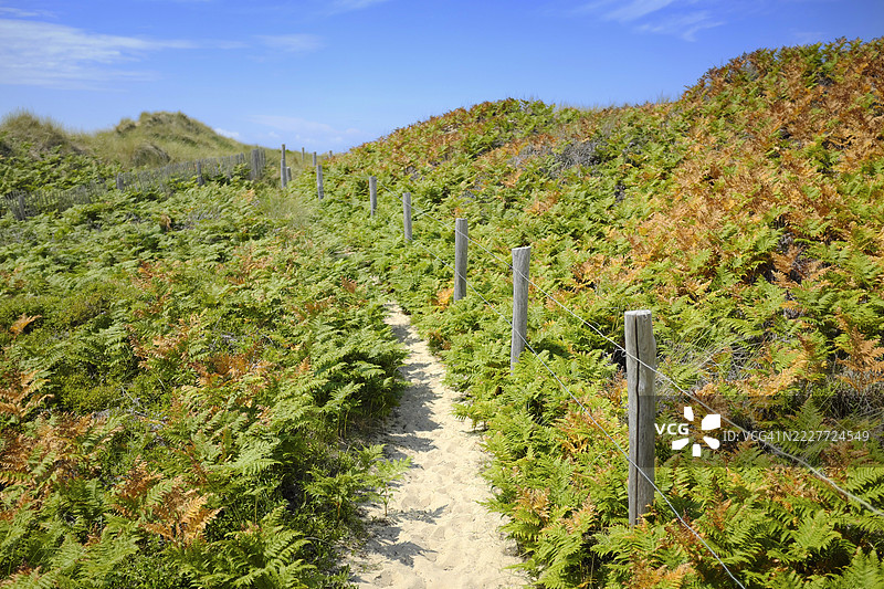 巴尔讷维尔-卡特雷，法国图片素材