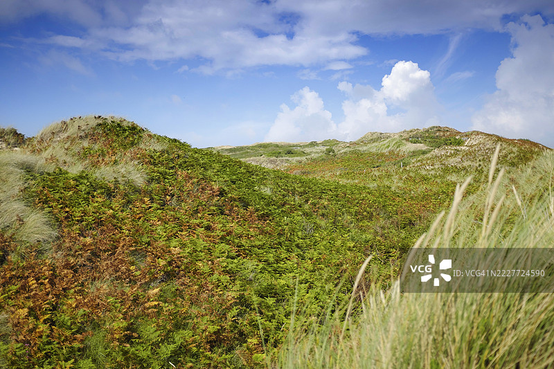 巴尔讷维尔-卡特雷，法国图片素材