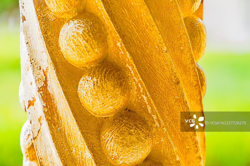 黄色花朵特写，巴塔利亚，莱里亚，葡萄牙图片素材