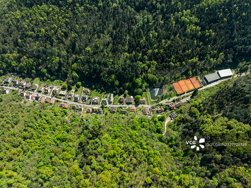 高角度视图的树木和植物在田野上生长，法国大东部地区坦恩图片素材