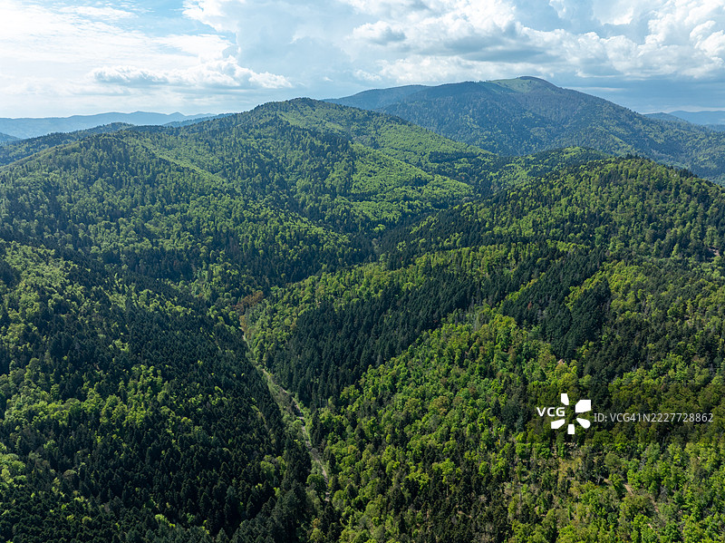 森林与天空的美丽景色，坦恩，法国大东部地区图片素材