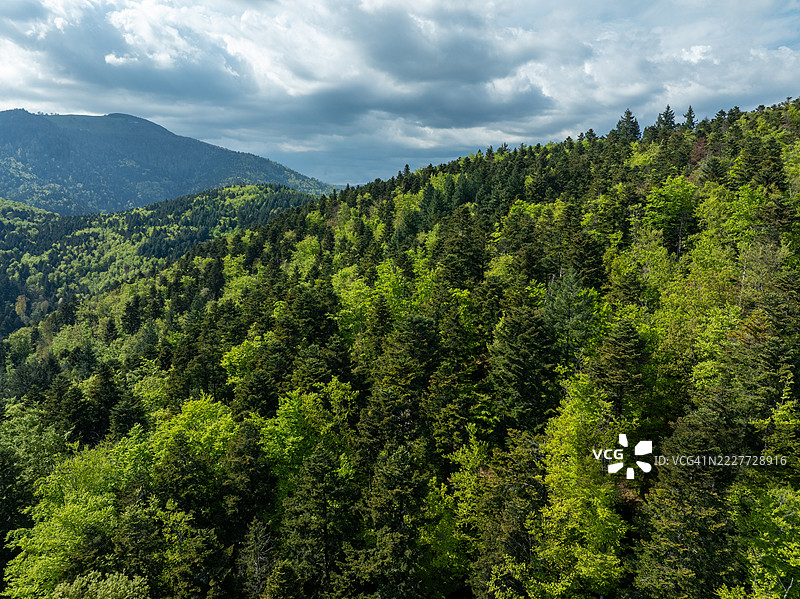 森林与天空的美丽景色，坦恩，法国大东部地区图片素材