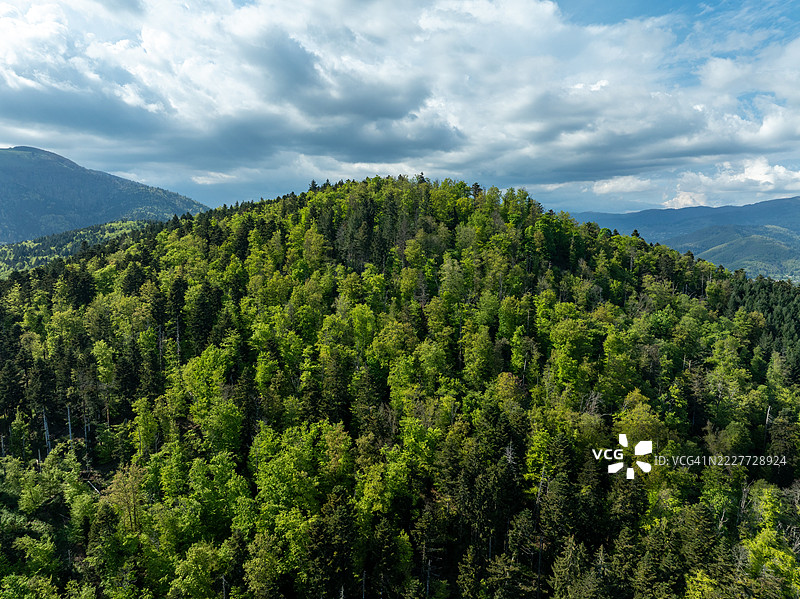 森林与天空的美丽景色，坦恩，法国大东部地区图片素材