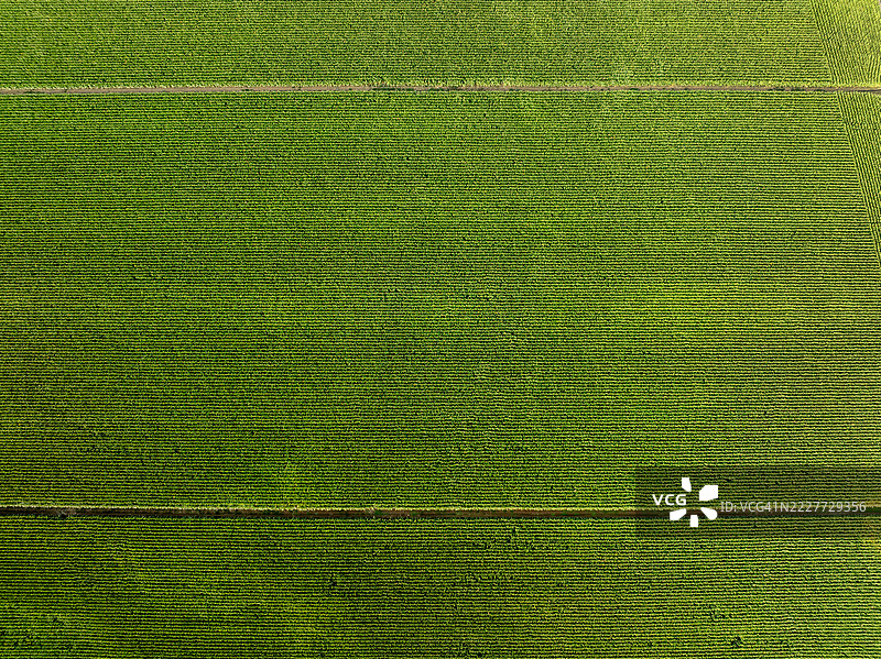 农业田野的全景，维滕海姆，法兰西大区，法国图片素材