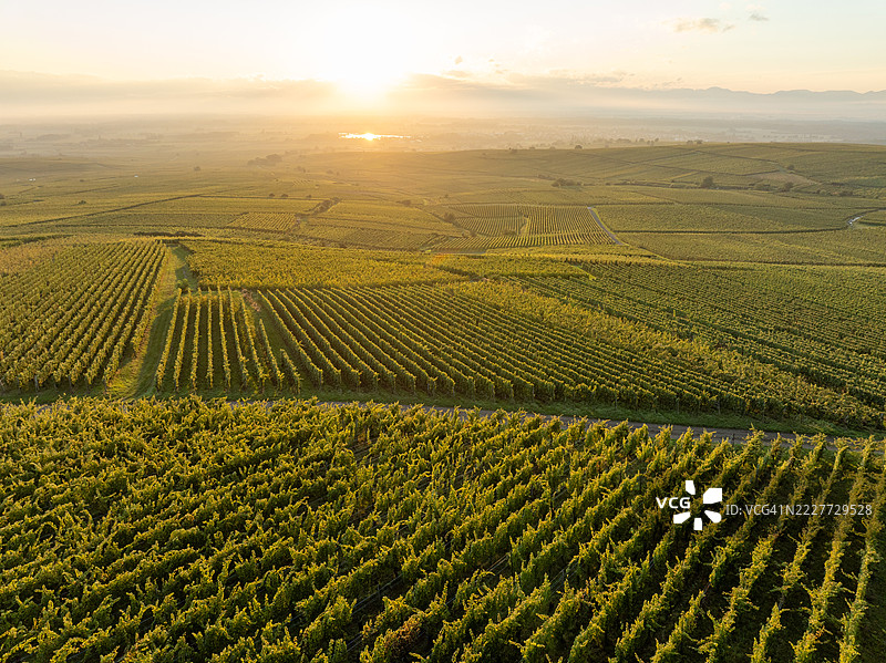 日落时分，埃吉斯海姆，法国大东部，农业田野的美丽景色与天空相映成趣。图片素材