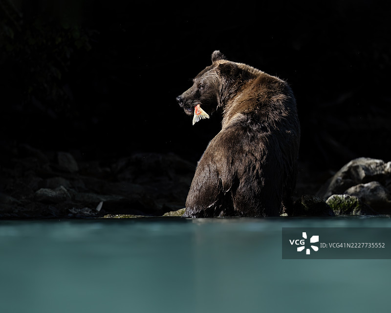 被聚光灯照耀图片素材