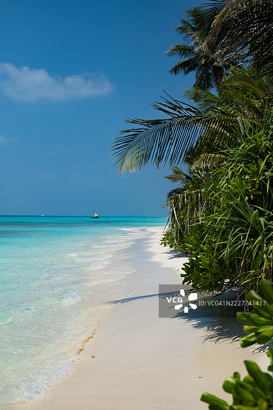 马尔代夫天堂般的垂直视角：白沙滩和碧蓝海水，迪古拉，阿利夫达胡，马尔代夫图片素材