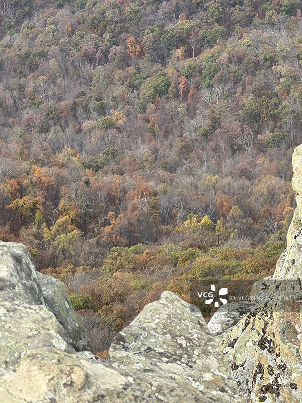 森林中的岩石全景，林德赫斯特，弗吉尼亚州，美国图片素材