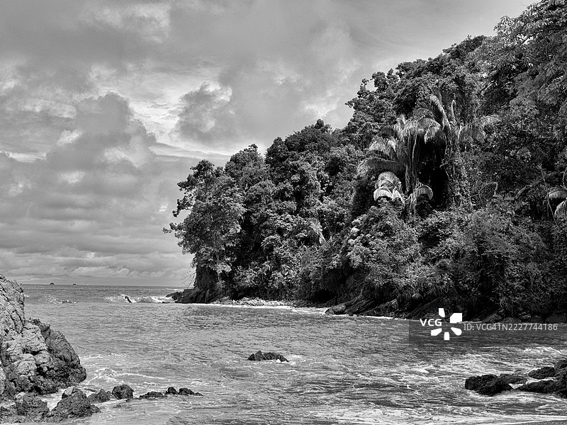 海边的树木与天空，奎波斯，普恩塔雷纳斯，哥斯达黎加图片素材