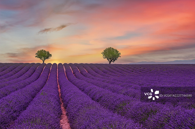 日落时分，法国瓦朗索尔的天空下田野的美丽景色图片素材