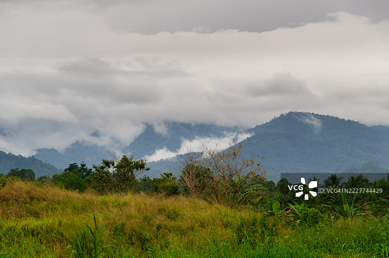 莫罗贝，巴布亚新几内亚，天空下的田野美景图片素材