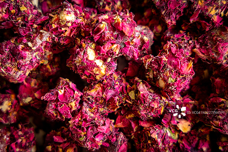 土耳其君士坦丁堡的粉色开花植物特写图片素材