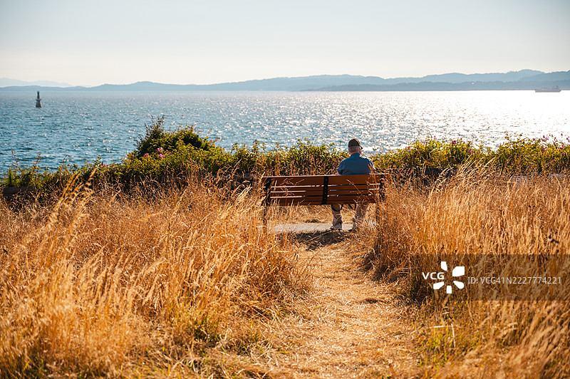 维多利亚海岸边坐在长椅上的男人背影图片素材