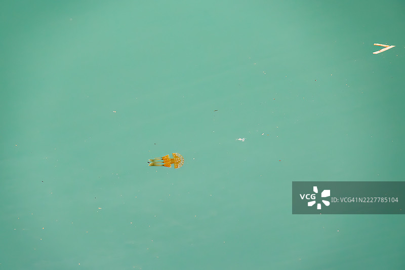 那霸泊港，冲绳县那霸市 - 2025年6月27日 那霸泊港的风景。通往冲绳县的海上门户。从这里可以乘坐高速渡轮前往慶良間群岛的座间味岛。图片素材