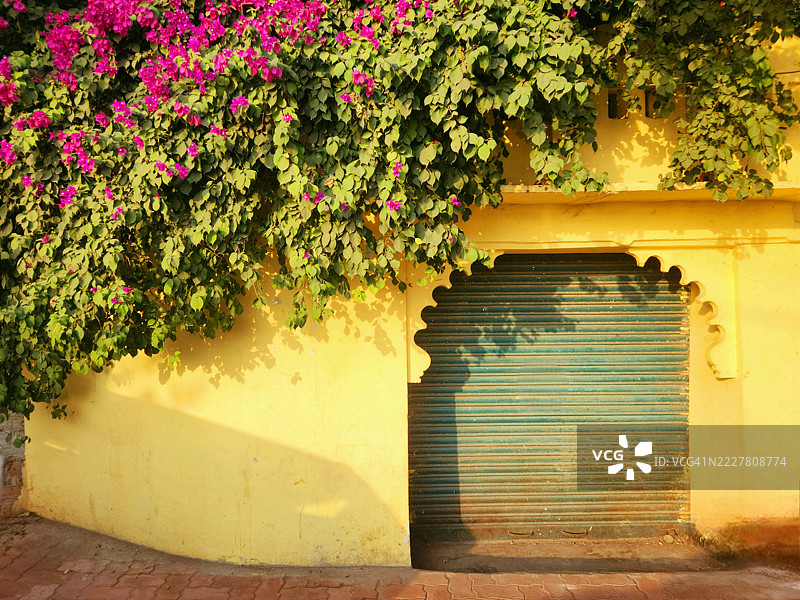 乌代布尔的塞赫利约基巴里图片素材