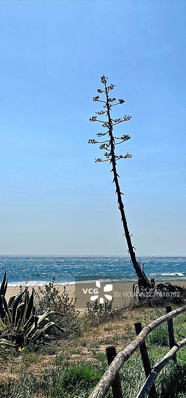 莱斯塔尔蒂海滩图片素材