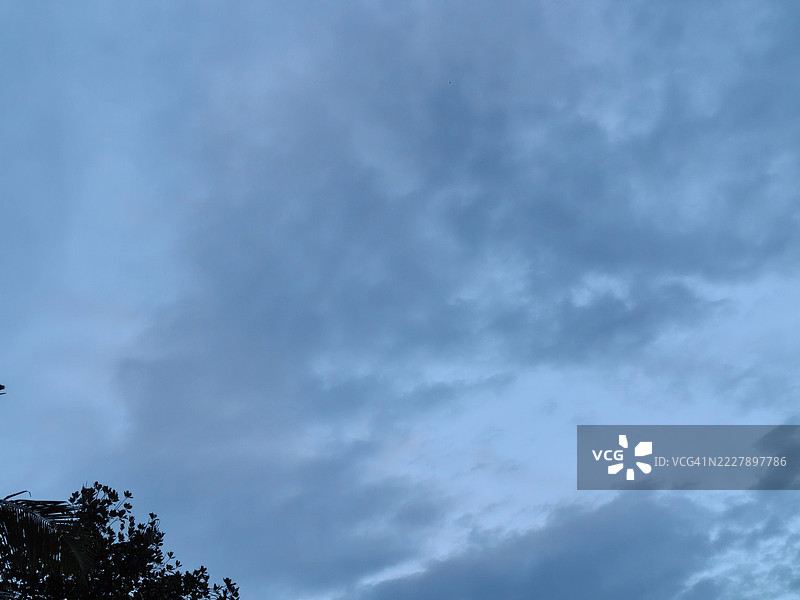 低角度视图的树木与天空，印度图片素材