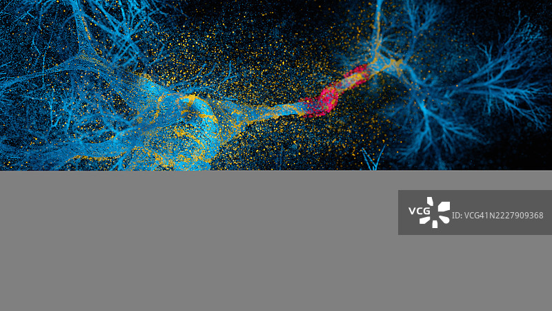 神经系统疾病图片素材