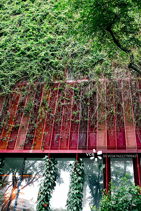 新加坡的可持续环境与郁郁葱葱的垂直花园图片素材