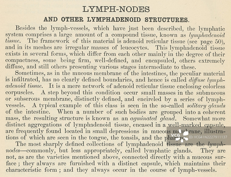 旧版雕刻插图，展示了一本人体解剖书中的一页，描述了淋巴结——小型豆状器官，属于淋巴系统，这是一个帮助身体抵抗感染和疾病的血管和组织网络。图片素材