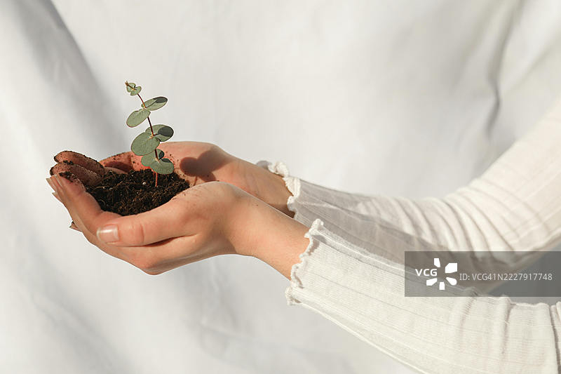 澳大利亚一位女性的中部，手中握着植物图片素材
