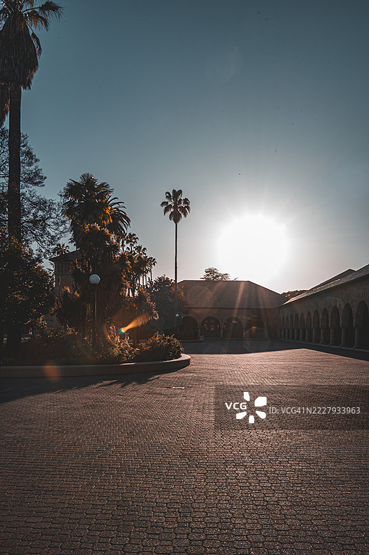 斯坦福图片素材