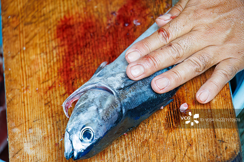 船长熟练地将鱼片切好。军舰鲭鱼，Auxis thazard，子弹金枪鱼，Auxis rochei rochei，军舰金枪鱼，Auxis thazard thazard。图片素材