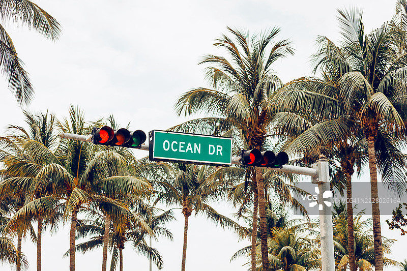 海洋大道的街道标志，旁边有交通信号灯，四周环绕着热带棕榈树。阳光明媚。热带旅行，城市旅游，标志性的美国街道。图片素材
