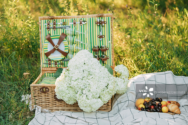 藤制野餐篮，里面装有白色花束和水果，放在自然环境中的毯子上图片素材