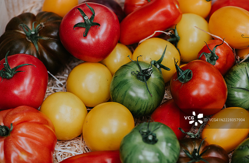 各种形状、大小和颜色的传统番茄特写镜头图片素材
