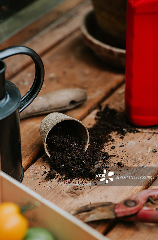 一个小的可生物降解的土壤洒落在温室里的花盆图片素材
