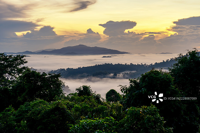 丹乌姆谷的日出与雨林对话图片素材